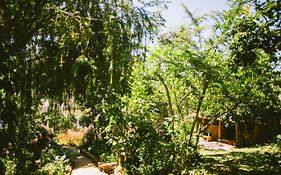 Đà Lạt Củi Homestay